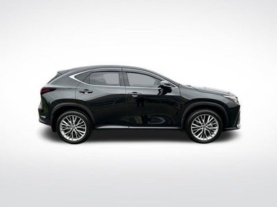 2024 Lexus NX NX 350 Luxury